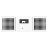 Смарт радио DAB+, стерео; белый, DABLS2WW
