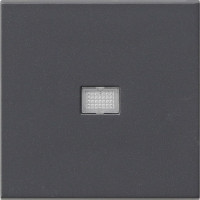 029828 Gira Клавиша с большим контрольным отверстием