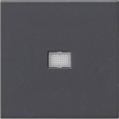 029828 Gira Клавиша с большим контрольным отверстием