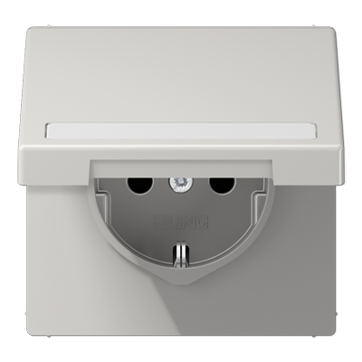 SCHUKO розетка с полем для надписи и крышкой, LS1520BFNAKLLG