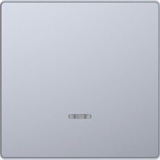 D-Life Клавиша 1-ная с линзой для LED-модуля, нерж. сталь