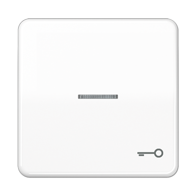 Клавиша с окошком и символом "ключ" для выключателей с подсветкой; белая, CD590KO5TWW