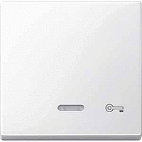 SM Клавиша 1-ная линзой и символом "Ключ", полярно-бел.