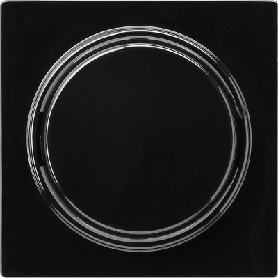 026147 Gira Клавиша для переключателя и кнопочного механизма