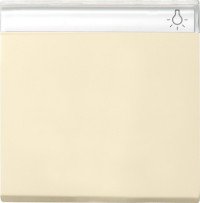 029901 Gira Клавиша с полем для надписи