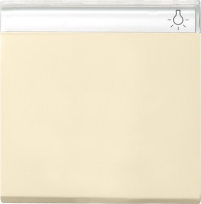 029901 Gira Клавиша с полем для надписи