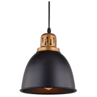 Arte Lamp EURICA, Подвес, цвет арматуры - черный, цвет плафона/декора - ЧЕРНЫЙ, 1х60W E27, A4245SP-1BK