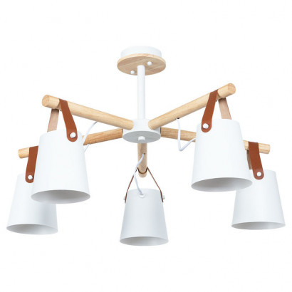 Arte Lamp THOMAS, Светильник потолочный, цвет арматуры - белый, цвет плафона/декора - белый, 5x60W E27, A7032PL-5WH