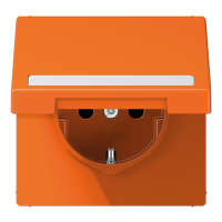 SCHUKO розетка с полем для надписи и крышкой, LS1520BFNAKLO