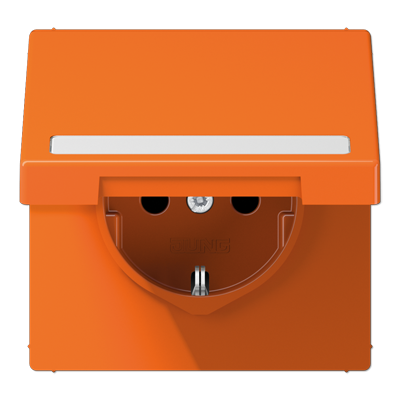 SCHUKO розетка с полем для надписи и крышкой, LS1520BFNAKLO