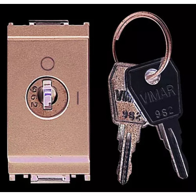 Vimar Выключатель 2P 16AX с ключом, серый, 16165