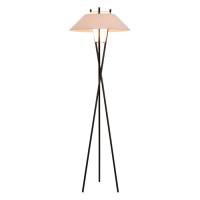 Modern Напольный светильник (торшер) Цвет: Черный, 1х40W E27