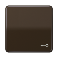 Клавиша с символом "ключ"; коричневая, CD590TBR