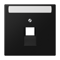 Плата (фиксация винтом) для одного модуля с полем для надписи; термопласт; черный матовый, LS969-1NAUASWM Плата (фиксация винтом) для одного модуля с полем для надписи; термопласт; черный матовый, LS969-1NAUASWM