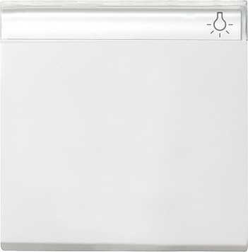 029903 Gira Клавиша с полем для надписи