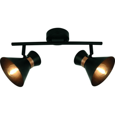 Arte Lamp BALTIMORE, Светильник настенный, цвет арматуры - черный, цвет плафона/декора - ЧЕРНЫЙ, 2х40W E14, A1406AP-2BK