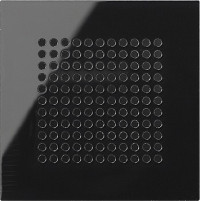 248305 Gira Накладка динамика 248305 Gira Накладка динамика