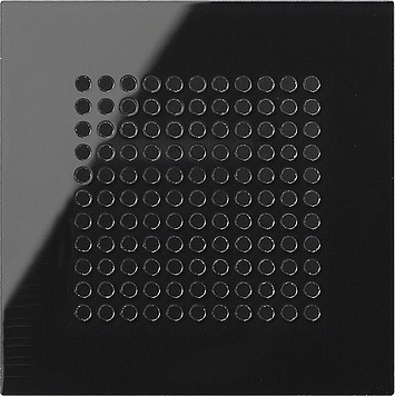 248305 Gira Накладка динамика