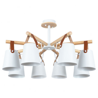 Arte Lamp THOMAS, Светильник потолочный, цвет арматуры - белый, цвет плафона/декора - белый, 8x60W E27, A7032PL-8WH