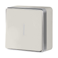 Werkel W5010103/ Выключатель одноклавишный с подсветкой Gallant (слоновая кость), a051542