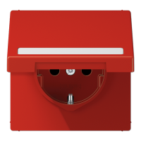 SCHUKO розетка с полем для надписи и крышкой, LS1520BFNAKLRT