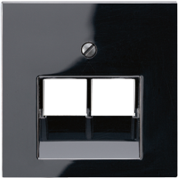 Крышка для сдвоенных телефонных и компьютерных розеток (UAE), фиксация винтом; термопласт; черный; A500, A569-2BFPLUASW