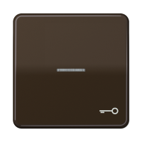 Клавиша с окошком и символом "ключ" для выключателей с подсветкой; коричневая, CD590KO5TBR