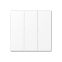 Клавиша для тройных выключателей; термопласт; белый матовый, A593BFWWM