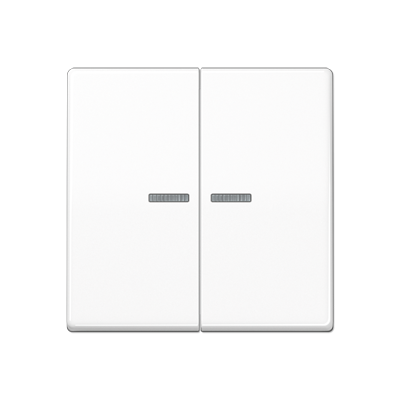 Клавиша для KNX кнопки, 2 группы с окошком; дюропласт; белый, AS102KO5WW