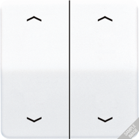 Клавиши для сдвоенной кнопки BCU; светло-серые, CD595MPLG