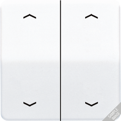 Клавиши для сдвоенной кнопки BCU; светло-серые, CD595MPLG