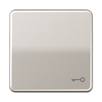 Клавиша с символом "ключ"; платина, CD590TPT