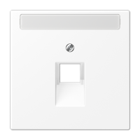 Плата (фиксация винтом) для одного модуля с полем для надписи; термопласт; белый матовый, LS969-1NAUAWWM Плата (фиксация винтом) для одного модуля с полем для надписи; термопласт; белый матовый, LS969-1NAUAWWM