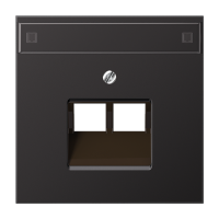 Крышка для сдвоенной телефонной и компютерной розетки , AL2969-2NAUAD Крышка для сдвоенной телефонной и компютерной розетки , AL2969-2NAUAD