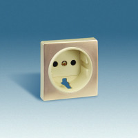 Simon S82,82N Накладка на 75432-, 75464-39, шампань со сл.костью, 82041-64