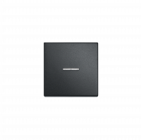 Клавиша для одинарного выключателя с окошком; черный матовый, EP490KOSWM