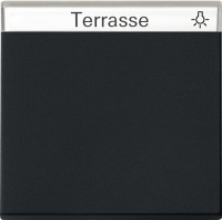 0299005 Gira Клавиша с полем для надписи