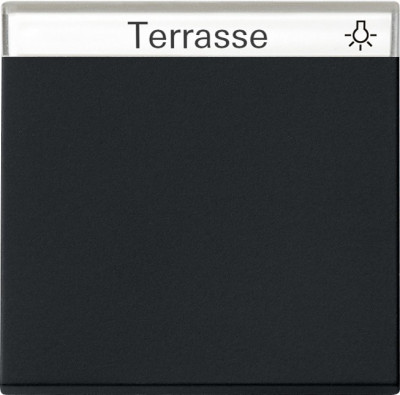 0299005 Gira Клавиша с полем для надписи