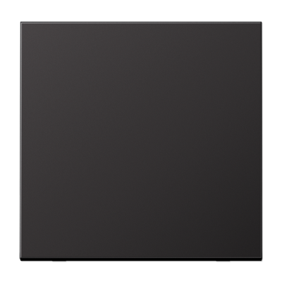 Одинарная клавиша для балансирных механизмов выключателей (кнопок), в комплекте с CD90HP (крепежный элемент), возможно IP44; металл; dark; Aluminium, AL2990D