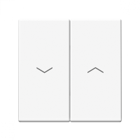 GAL000119S - ARTGALLERY 2-клавишный ВЫКЛЮЧАТЕЛЬ ДЛЯ ЖАЛЮЗИ, 2х сх.4, 10А, механизм, быстрозажим. клем., БЕЛЫЙ, Systeme Electric GAL000119S - ARTGALLERY 2-клавишный ВЫКЛЮЧАТЕЛЬ ДЛЯ ЖАЛЮЗИ, 2х сх.4, 10А, механизм, быстрозажим. клем., БЕЛЫЙ, Systeme Electric