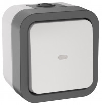 TORS Переключатель однокл. с ин. 10А IP55 TS202 сер-бел IEK, TS-V10-1-10-55-K41 TORS Переключатель однокл. с ин. 10А IP55 TS202 сер-бел IEK, TS-V10-1-10-55-K41