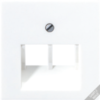 Крышка для сдвоенных телефонных и компьютерных розеток (UAE), фиксация винтом; термопласт; шампань; A500, A569-2BFPLUACH