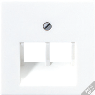 Крышка для сдвоенных телефонных и компьютерных розеток (UAE), фиксация винтом; термопласт; шампань; A500, A569-2BFPLUACH