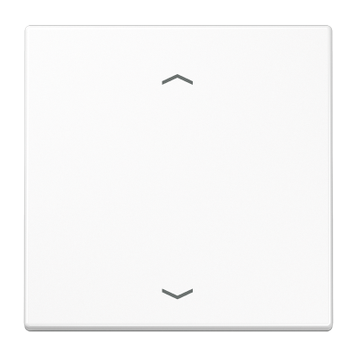 Клавиша для кнопки BCU, LS990PWW