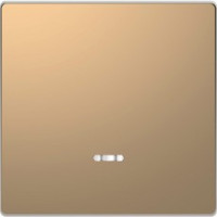 D-Life Клавиша 1-ная с линзой для LED-модуля, шампань D-Life Клавиша 1-ная с линзой для LED-модуля, шампань