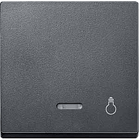 SМ Клавиша 1-ная с линзой и символом "Свет" , антр.