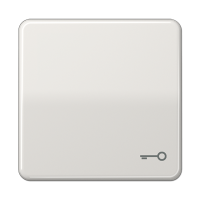 Клавиша с символом "ключ"; светло-серая, CD590TLG