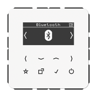 Цифровое радио DAB + с поддержкой Bluetooth, DABCDBTWW