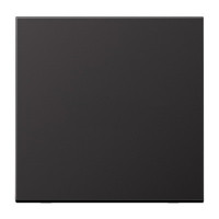 Клавиша для одинарного выключателя; черный матовый, EP490SWM