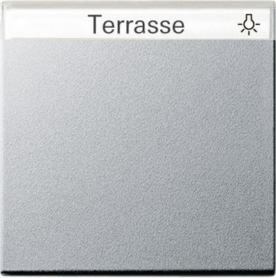 029926 Gira Клавиша с полем для надписи